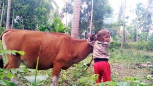 Buah Memperkenalkan Jati Diri