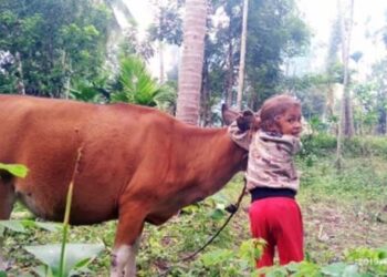 Buah Memperkenalkan Jati Diri