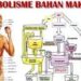 Memaknai Secara Sederhana Kesehatan Tubuh Melalui Aspek Makanan