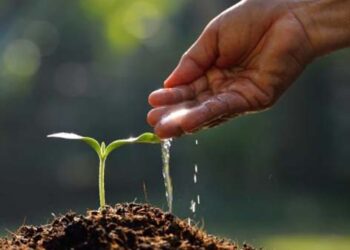 Menuai dari yang Ditabur