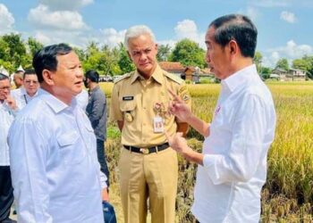 Jokowi Dukung Prabowo? Hasto: Saya Luruskan, Itu tidak Benar !