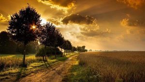 Iman Memampukan Kita Melihat Karya dan Penyertaan Allah