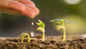 Allah Menyingkap Rahasia Bagi Orang Kecil