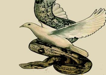 Jadi Murid yang Cerdik dan Tulus