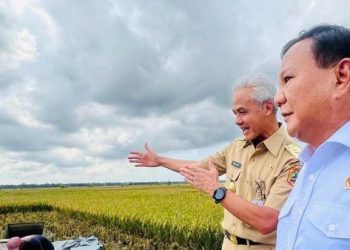 Bingung: PRABOWO atau PRANOWO