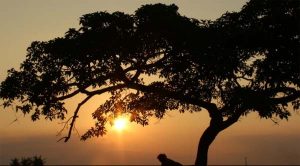 Yang Utama Itu Iman Bukan Identitas