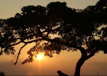 Yang Utama Itu Iman Bukan Identitas