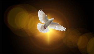 Lahir Jadi Saluran Rahmat