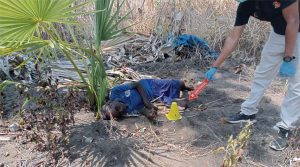 Tiga Hari Menghilang, Kakek Boli Witak Ditemukan tak Bernyawa di Kebunnya