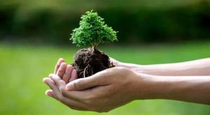 Belajar Setia dari Hal Kecil