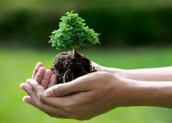 Belajar Setia dari Hal Kecil