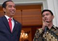 Pertarungan Budaya Jawa (Potensi Gibran dan Jokowi Dipecat dari PDIP?)