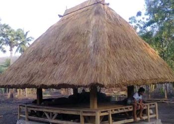 Sayin Bayan Politik, Cahaya Kearifan Lokal Lembata