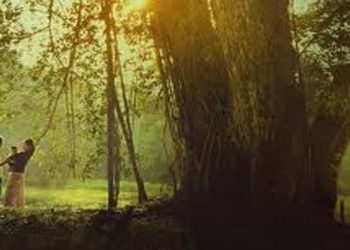 Kasih yang Menyembuhkan