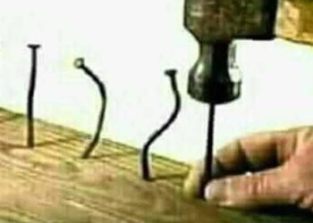 𝑷𝑨𝑲𝑼 𝒀𝑨𝑵𝑮 ‘𝑩𝑬𝑵𝑮𝑲𝑶𝑲…’