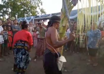 Budaya’Adat Soka Roa Mu’udi Sikka Sedang Terancam