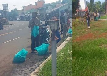 Rayakan HDI, Difable Lembata Pungut Sampah dan Belajar Bisindo