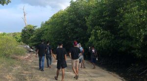 Anak Muda Lembata Ayo Gabung Komunitas KOPI Lembata Tanam Bakau