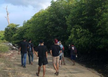 Anak Muda Lembata Ayo Gabung Komunitas KOPI Lembata Tanam Bakau
