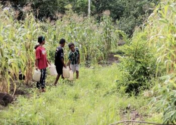 Harapan di Ujung Jalan: Kisah Perjuangan Ibu-Anak Hadapi Bahaya dan Mitos Gaib Demi Air Bersih