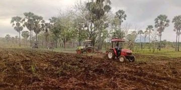 Sewa Traktor Pemkab Lembata, PT SMJ Target Bajak Lahan Seluas 108 Ha