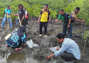Aksi Nyata Semangat Hari Pahlawan, IGORNAS Songsong Hari Guru Nasional 2025 dengan Tanam Mangrove