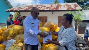Pemkab Lembata Buka Pembelian Jagung di CWC Selandoro, Petani Nikmati Penjualan dan Pembayaran Langsung