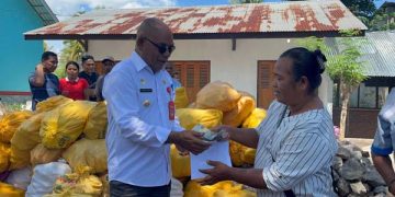 Pemkab Lembata Buka Pembelian Jagung di CWC Selandoro, Petani Nikmati Penjualan dan Pembayaran Langsung