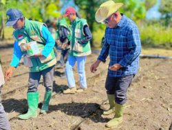 Bupati Lembata Dorong Desa Bean Jadi Sentra Benih dan Percontohan Pertanian Modern