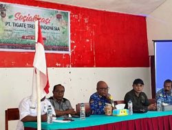 Dari Lahan Tidur ke Sumber Pendapatan, Investasi Jambu Mete Siap Dikembangkan di Lembata