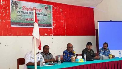 Dari Lahan Tidur ke Sumber Pendapatan, Investasi Jambu Mete Siap Dikembangkan di Lembata
