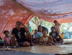 GEMPA FLORES: Anak-anak Hadapi Ancaman Berlapis di Pengungsian, Plan Indonesia Desak Berbagai Pihak Beri Bantuan Dasar secara Cepat dan Menyeluruh
