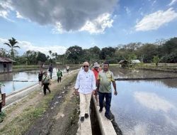 Bupati Lembata Tinjau Irigasi Urumitem Waikomo, Dorong Produktivitas Sawah dan Kemandirian Pangan Daerah